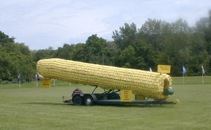 Самый вибратор в мире. Большая кукуруза. Огромная кукуруза. Самый большой початок кукурузы. Самая огромная кукуруза в мире.